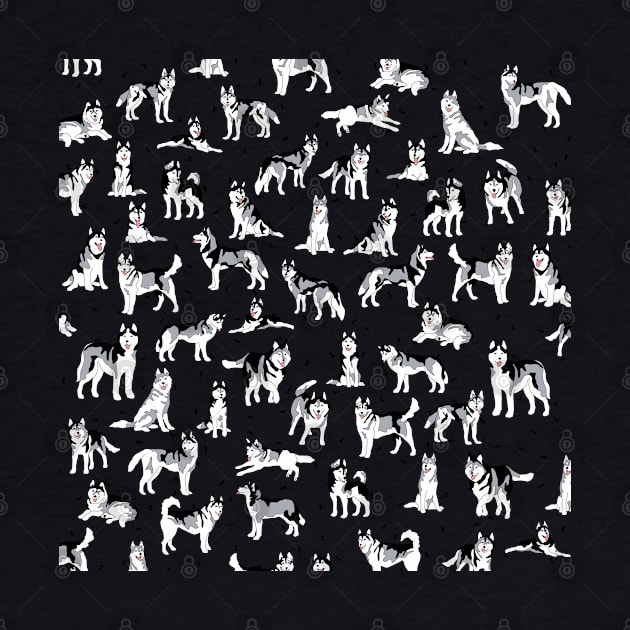 Many Husky dogs by Zodiart